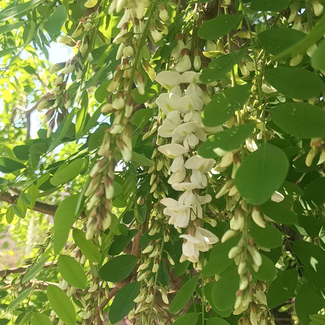 在梦里来一次说走就走的旅程