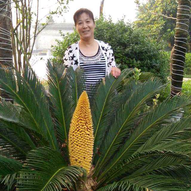 幸福大姐鸭血粉丝汤