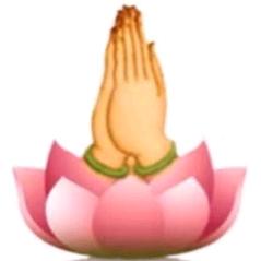 随心