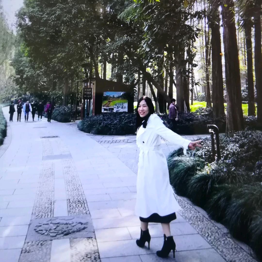 瓶儿的盖儿