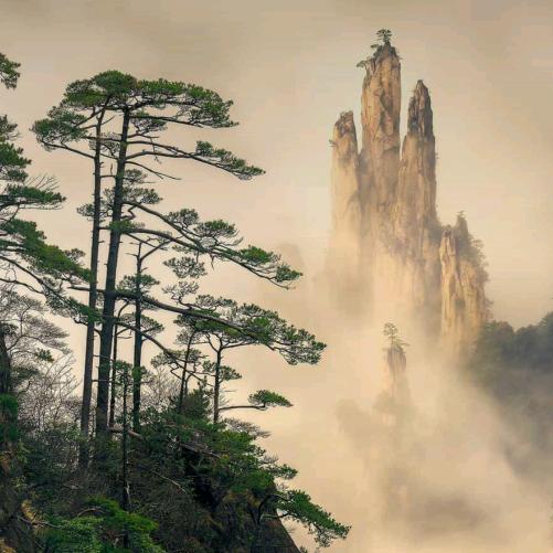 阿飛