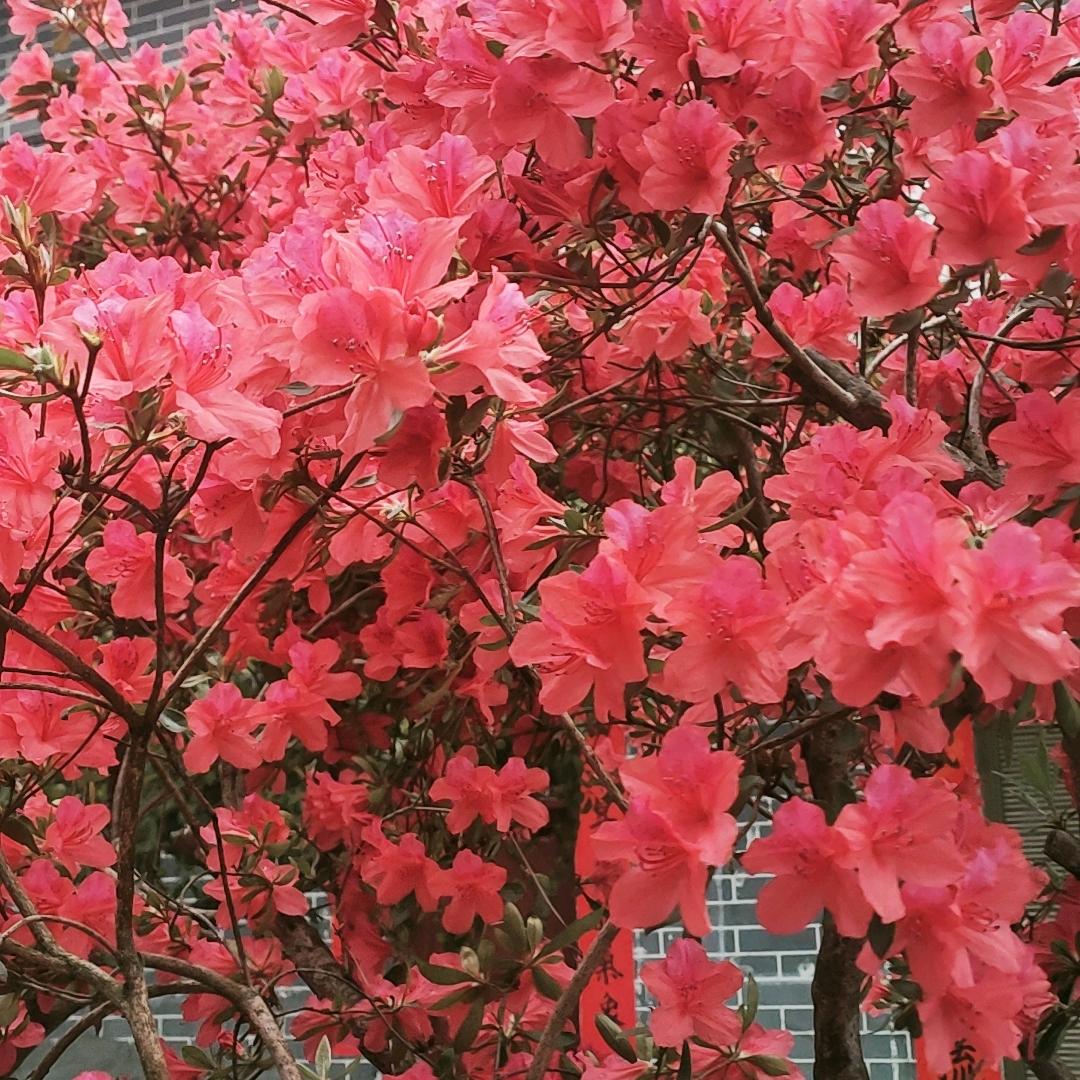 睦村包餐第一家