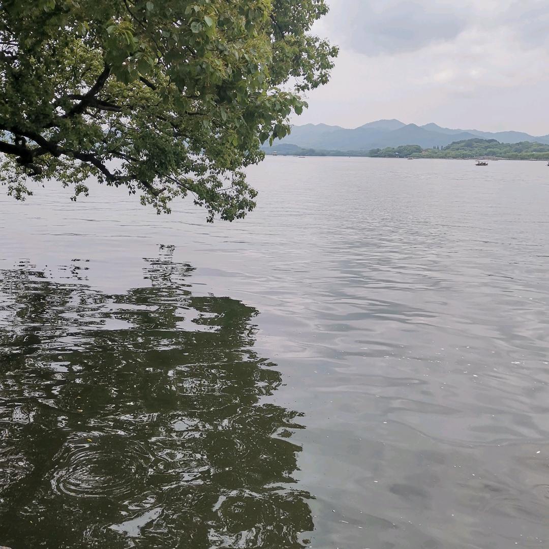 专业防水修缮