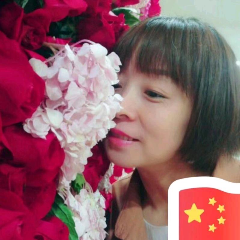太阳花
