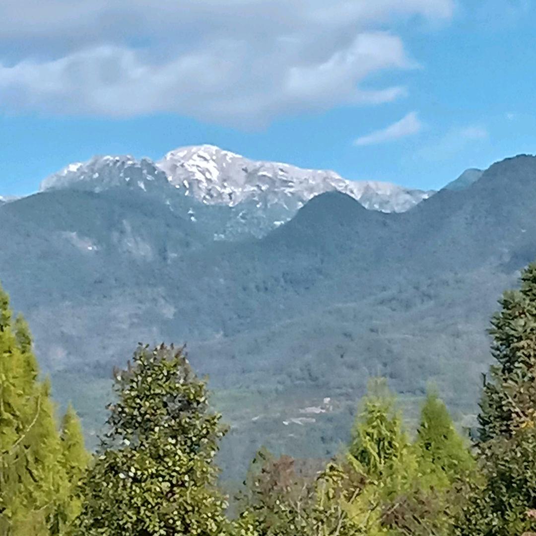 草原飞鹰