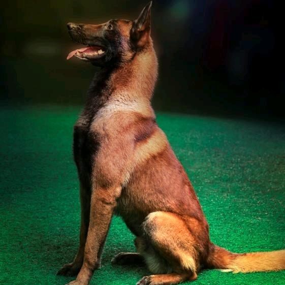 给自己一点时间