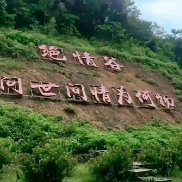 珍惜
