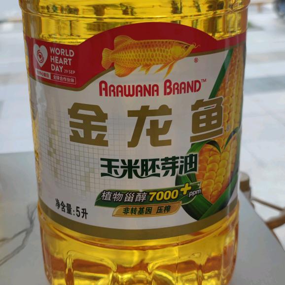 主任来了