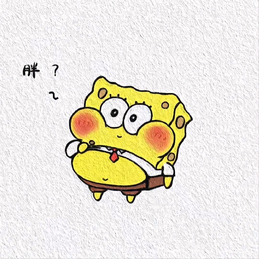 海绵饱饱🐨