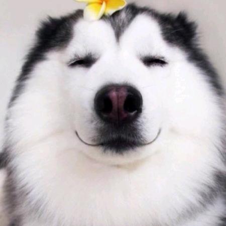 憨憨打绝地
