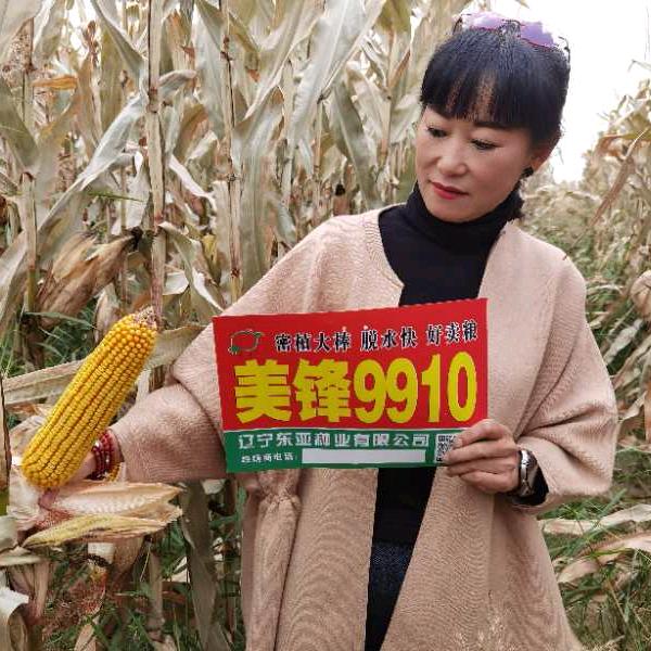 王王学饼