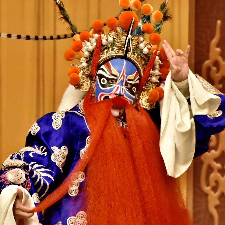 老顽固他哥（不互关）