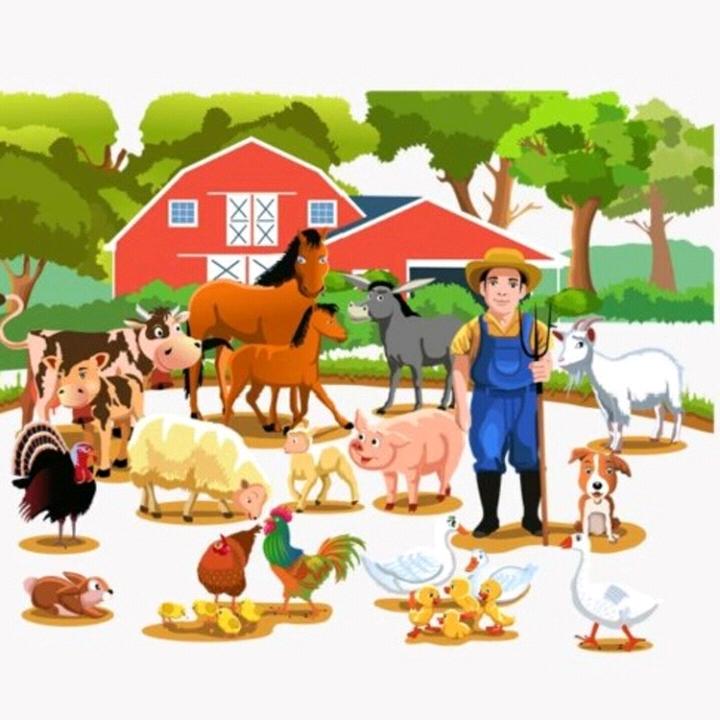 巴卡巴卡哦啦啦啦啦