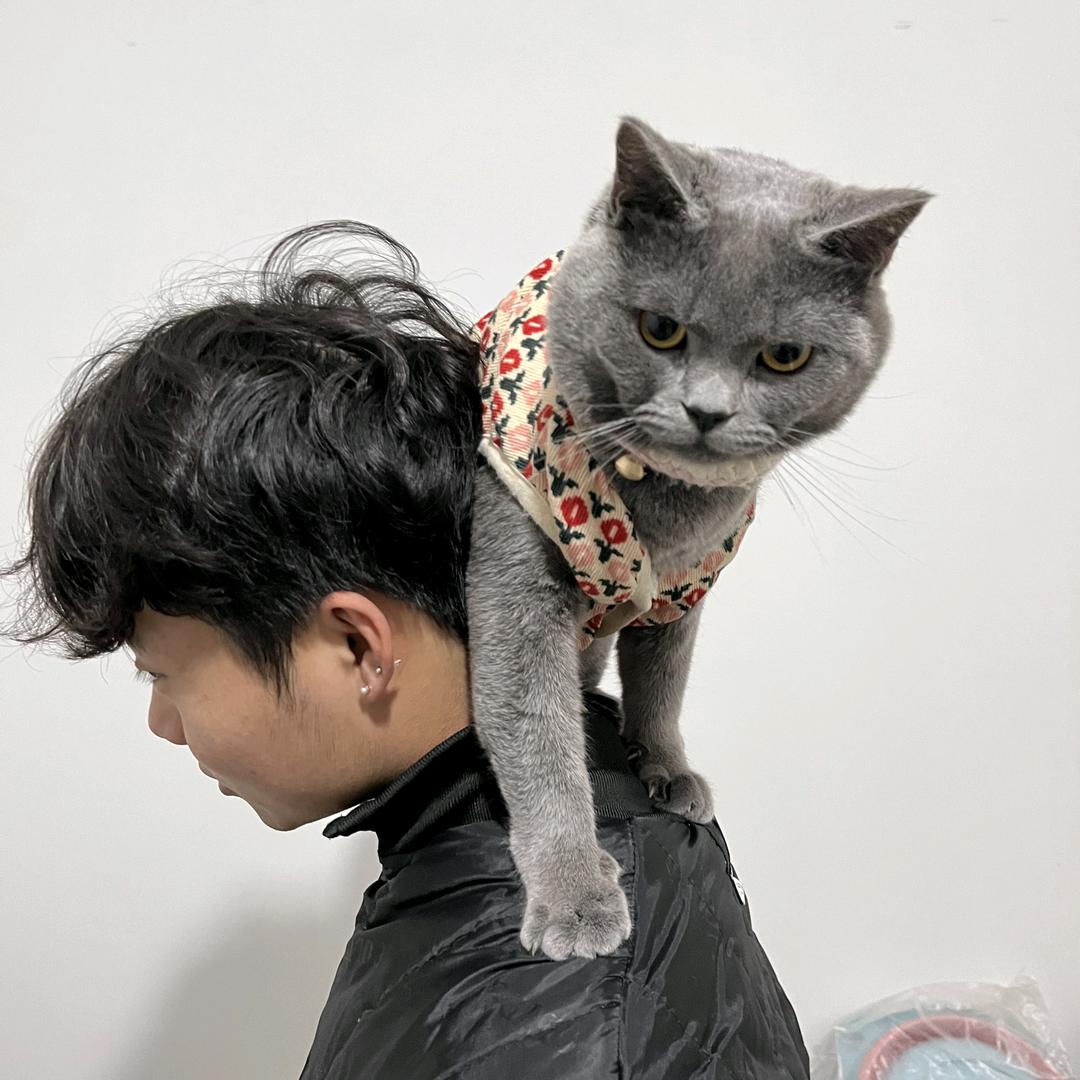 乔智不抽烟