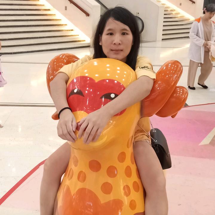 笨懒猪