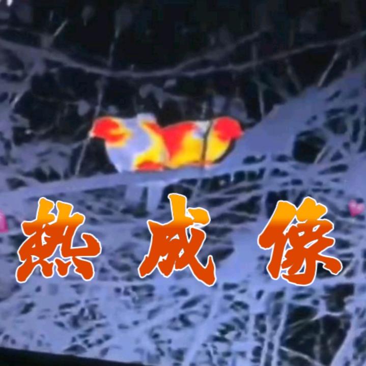 祥哥户外热成像