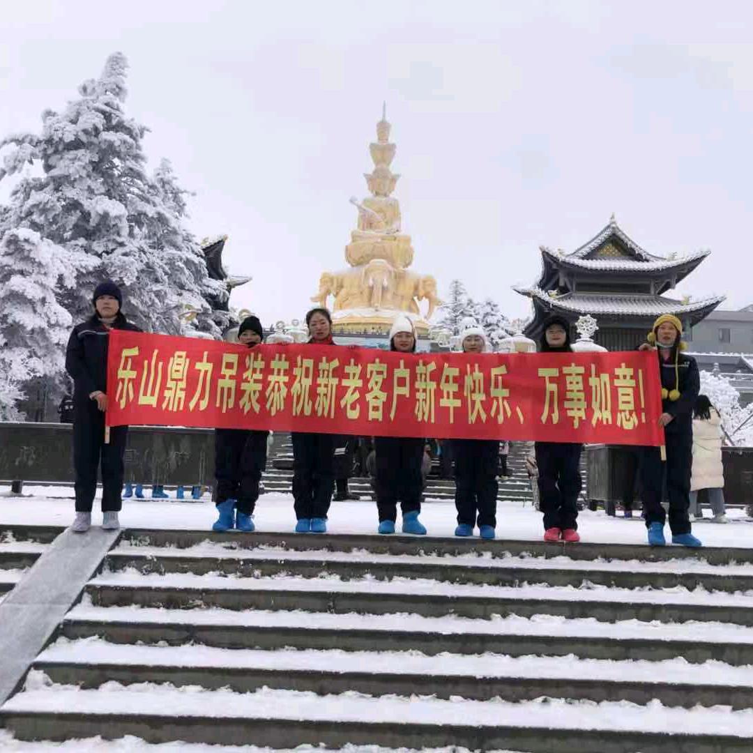乐山鼎力吊装
