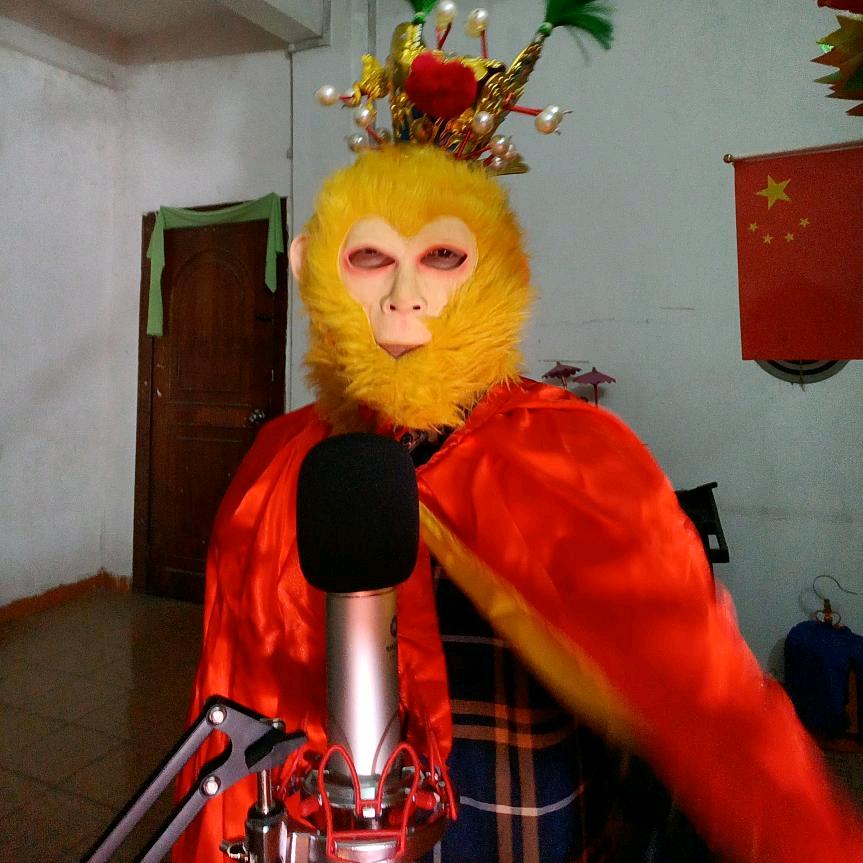 一枝梅🌹孙悟空，齐天大圣。老孙来也。