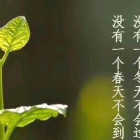 秋雨