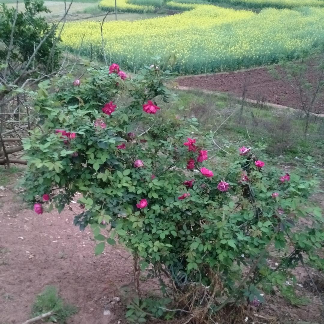 珍惜当下，生命可贵。