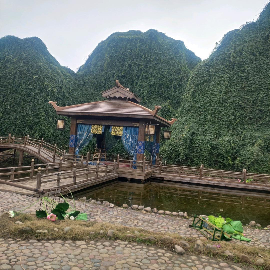 信天由