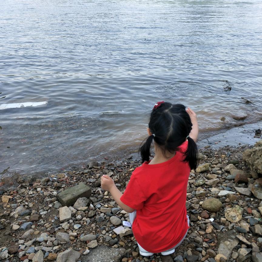 小柳