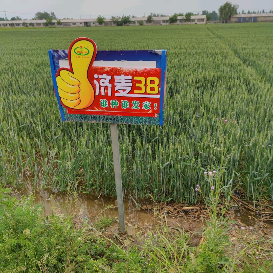 用户5886847572739