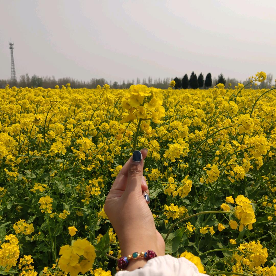婧🌿🍀