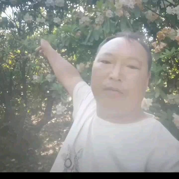 破烂哥