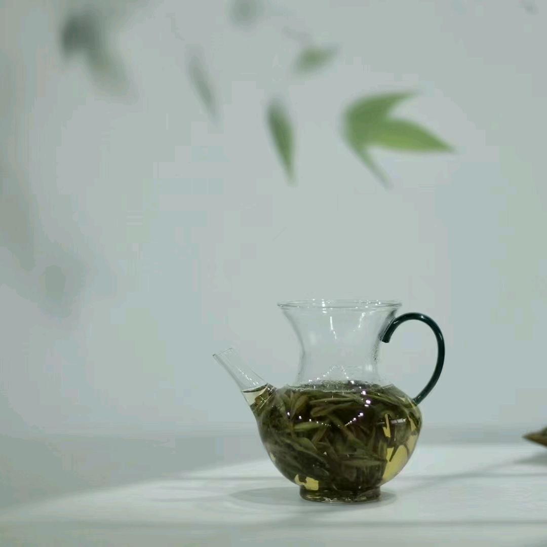 路茗淇