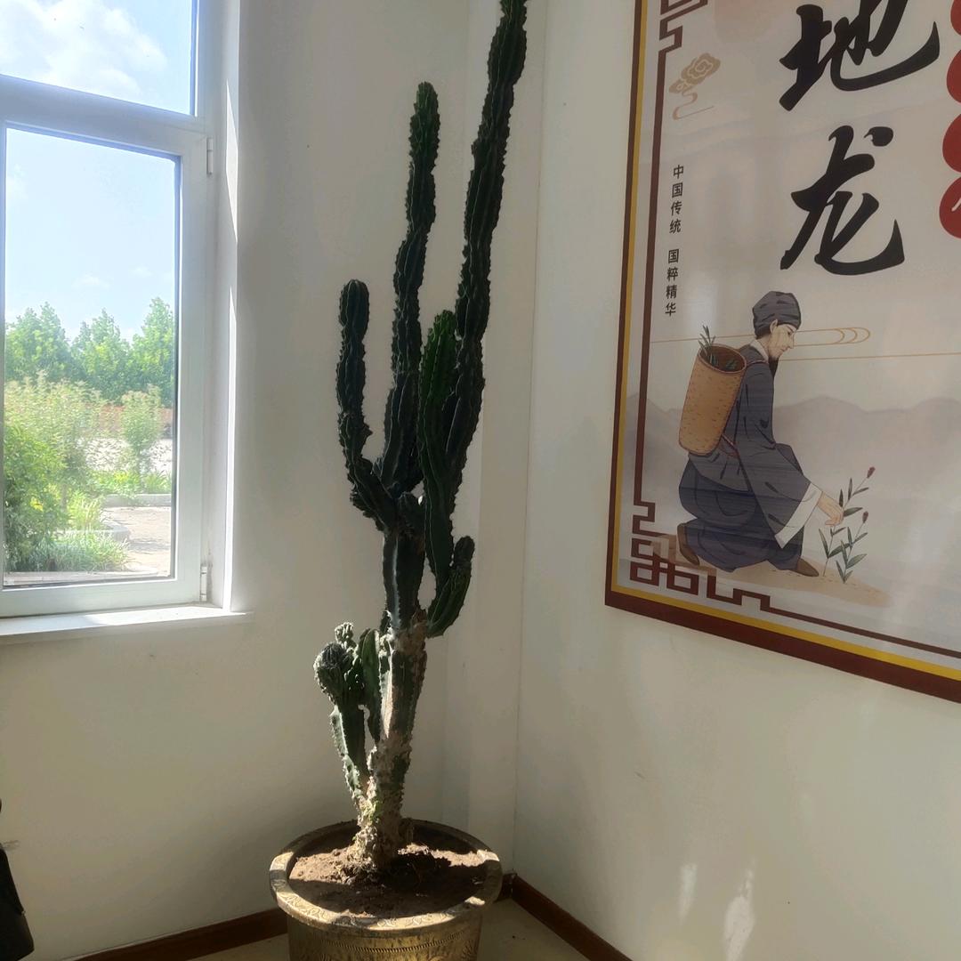 70122306036小蚯蚓