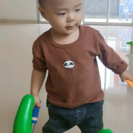 志凡