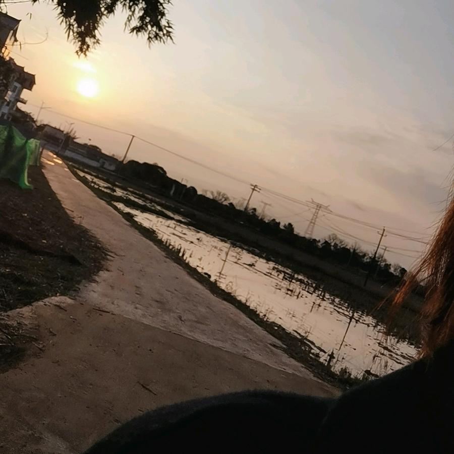 黄小懒