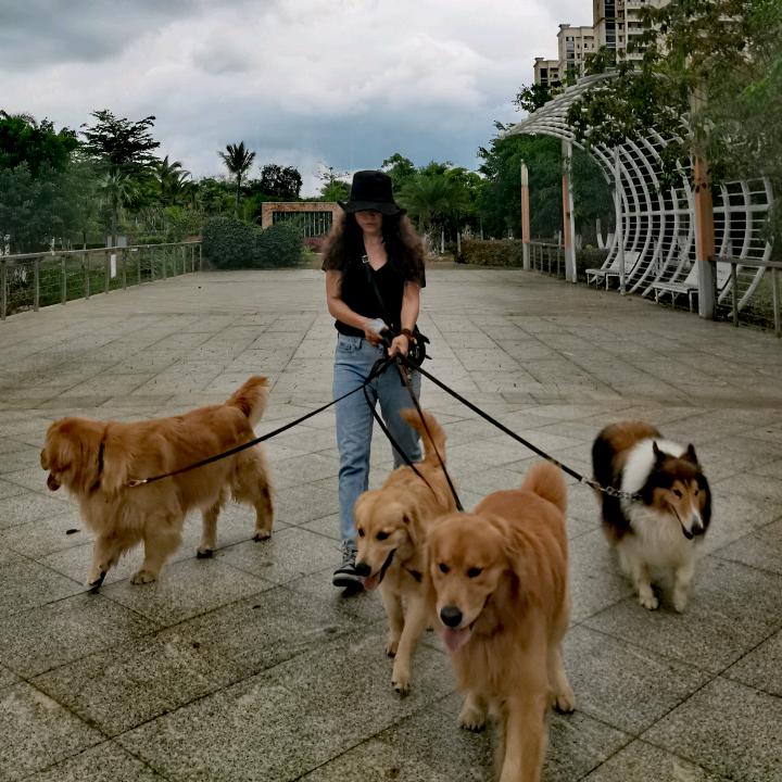迪特巴宝