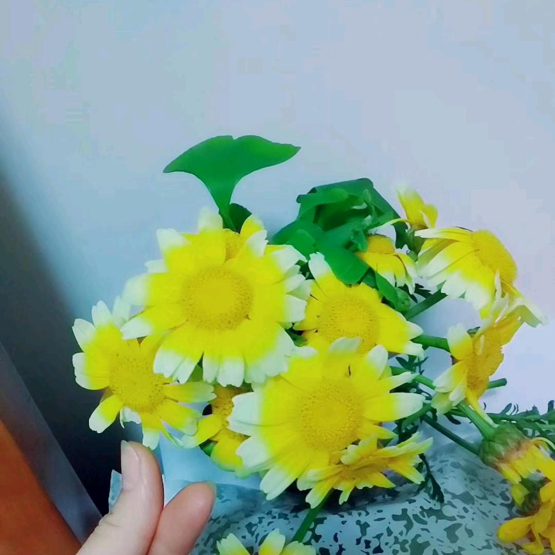 生活镜头会说话