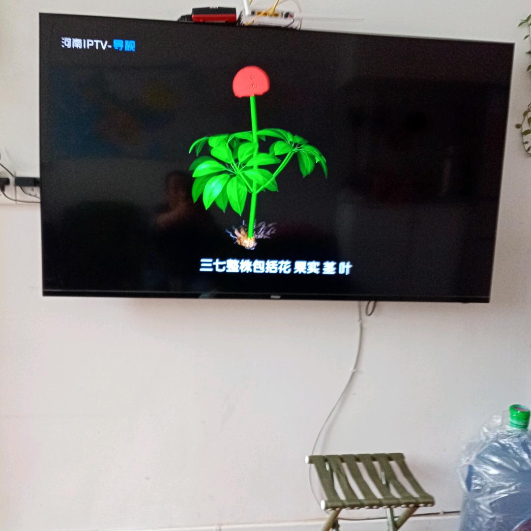 草央