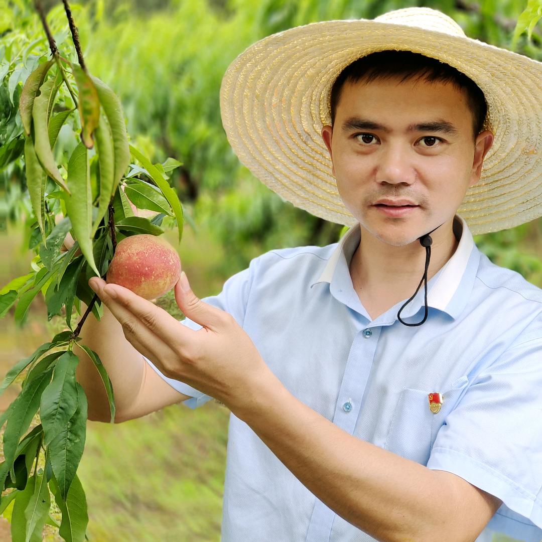 张书记助农（莲花）