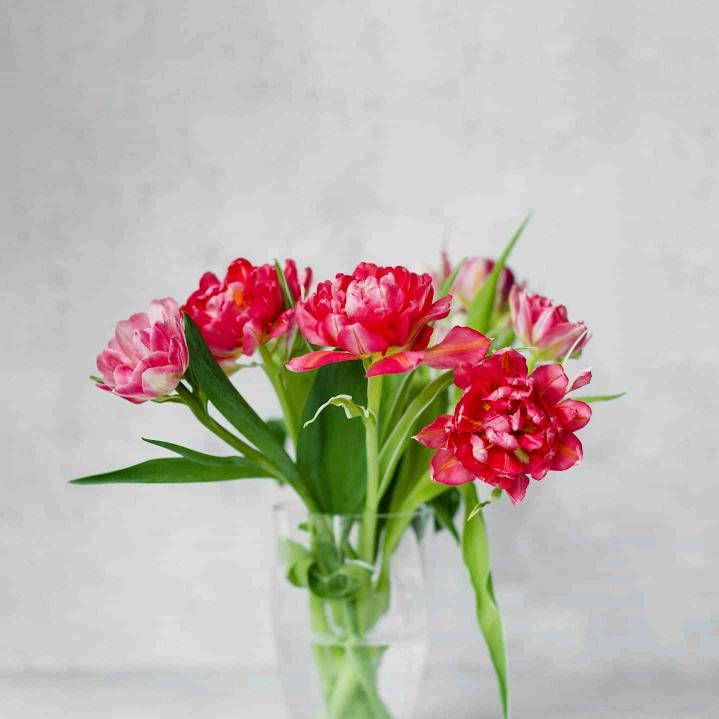 杨亮