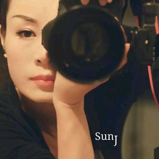 大渔👣