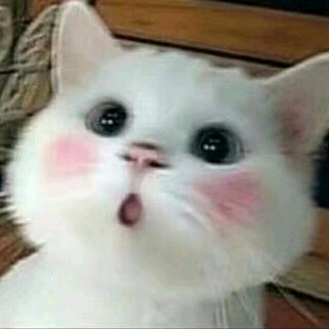 我知道你
