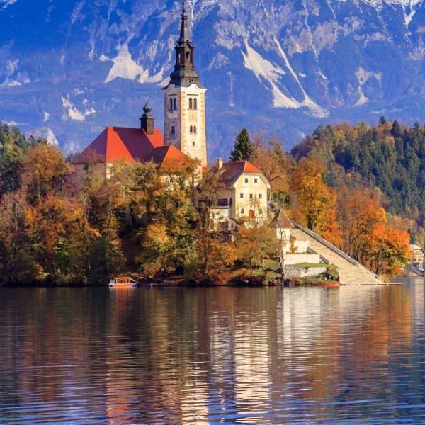 &*S迷~茫~（税）