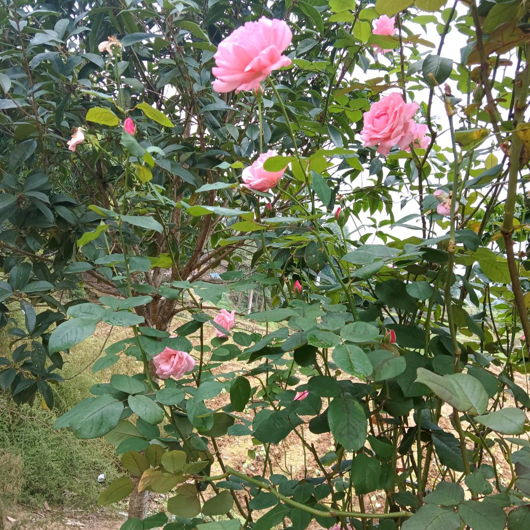 下辈子再相遇