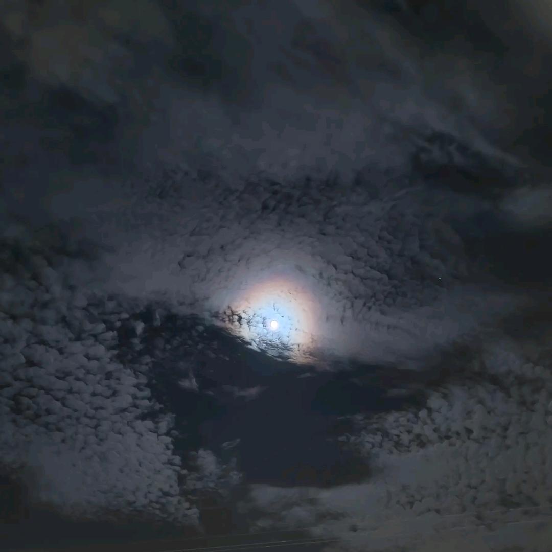 ♚Fitzgerald 🇨🇳