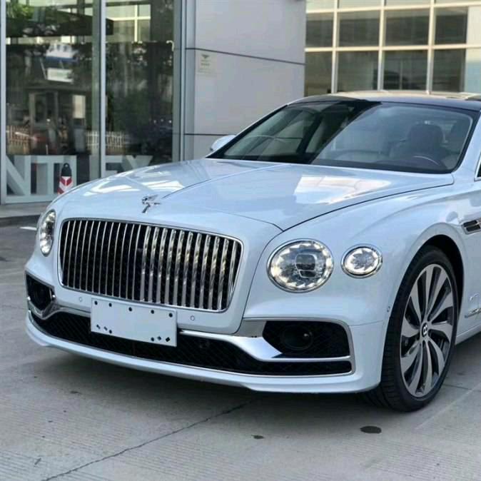 我的大ss