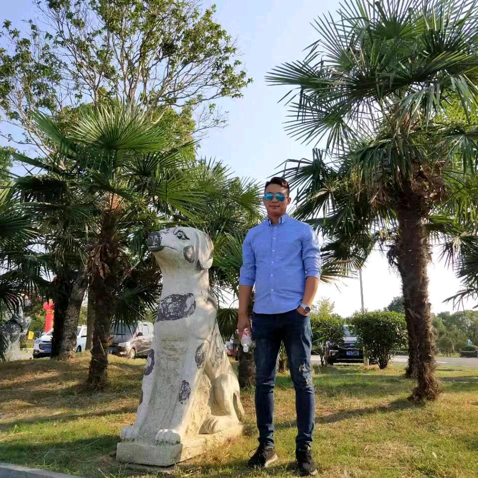 Adonis夹木机木材收购