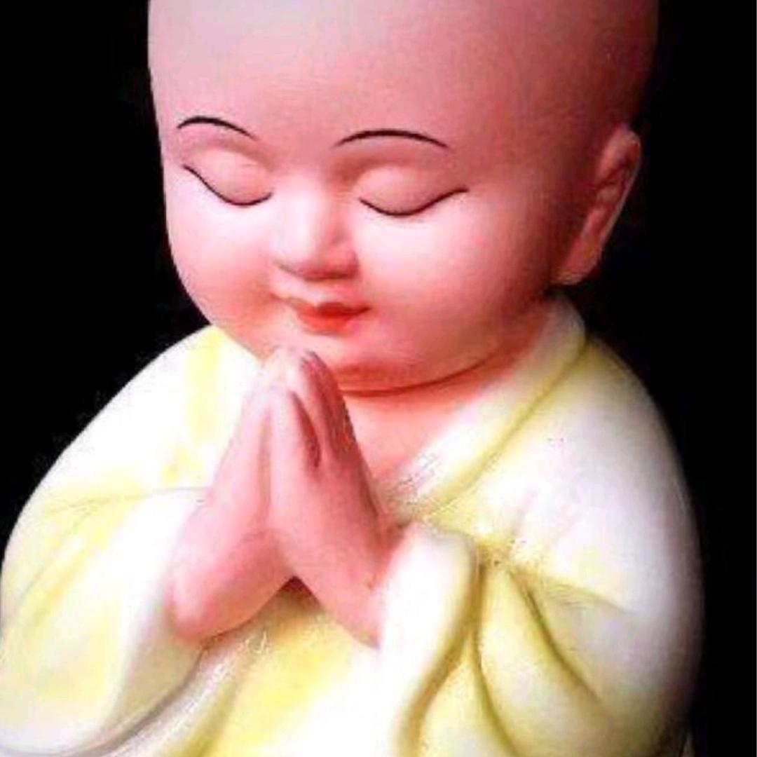 国民九哥　　   　　　　　　　🪳