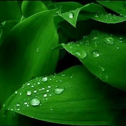 越来越好🍀