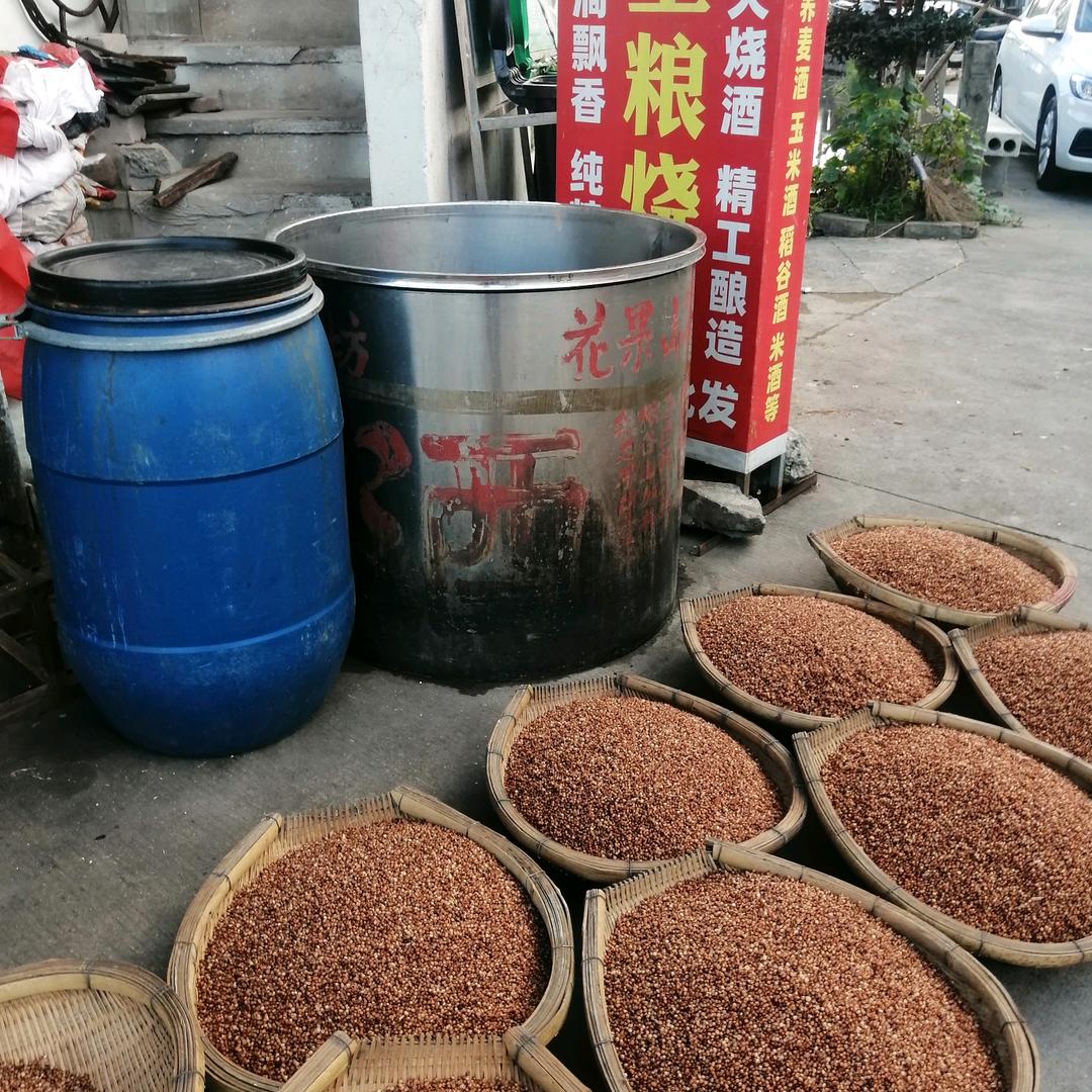 老马伏枥