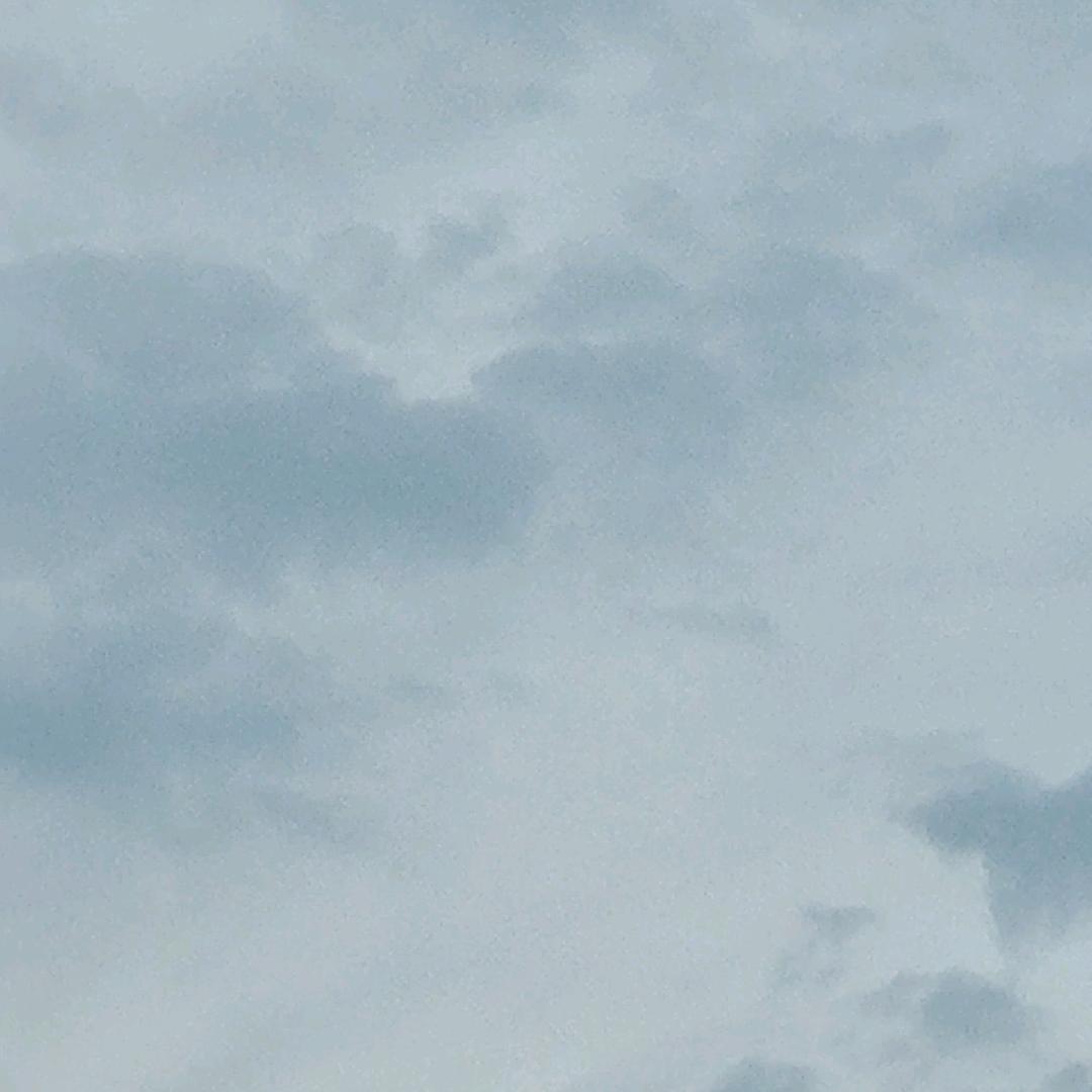 费霞