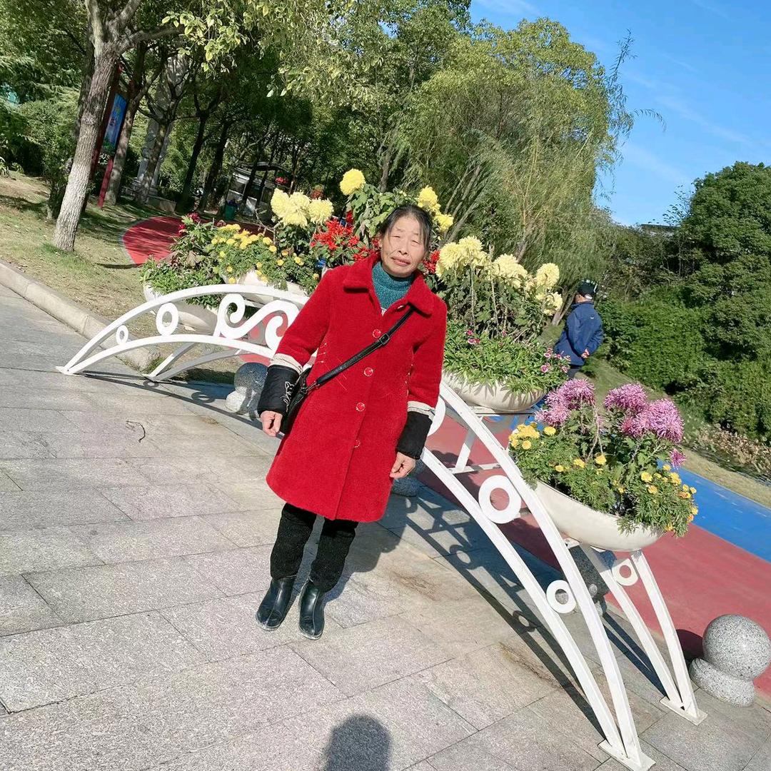 梅梅子